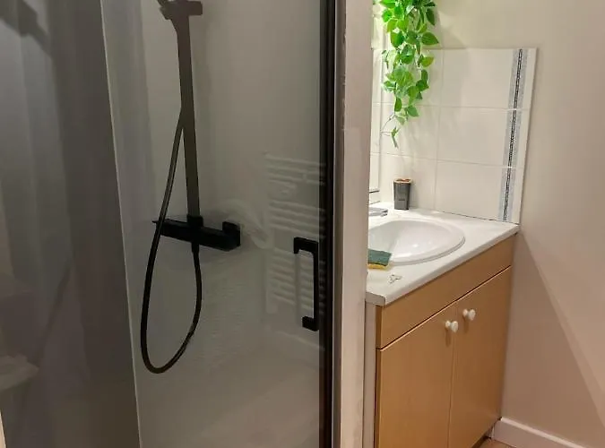 Appartement Sur Yon La Roche-sur-Yon